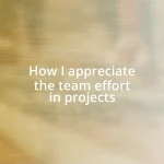 How I appreciate the team effort in projects