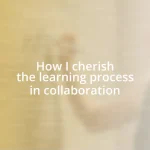 How I cherish the learning process in collaboration