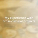 My experience with cross-cultural projects