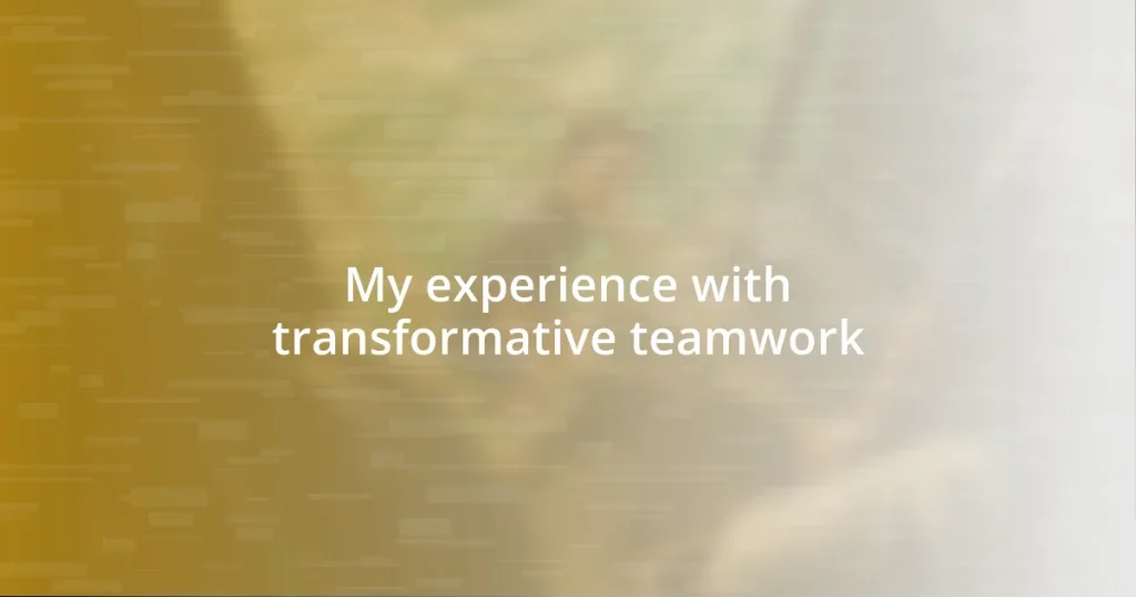 My experience with transformative teamwork