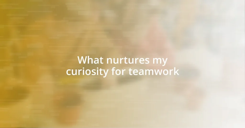 What nurtures my curiosity for teamwork