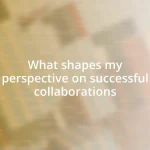 What shapes my perspective on successful collaborations