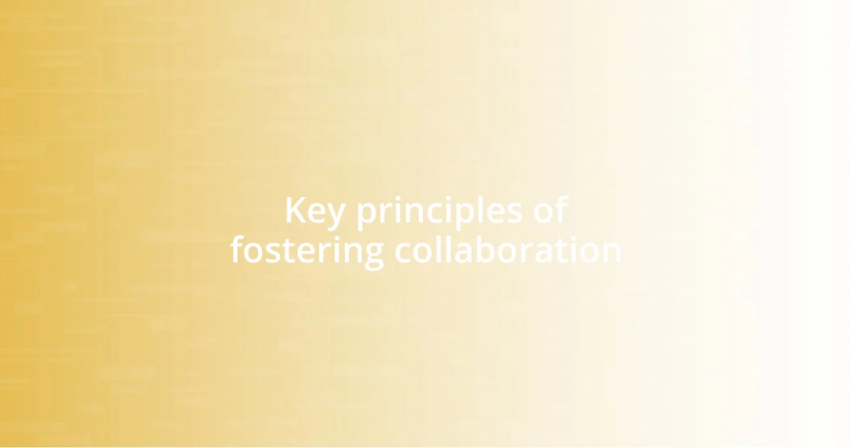 Key principles of fostering collaboration