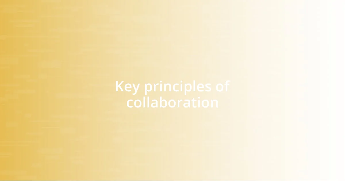 Key principles of collaboration