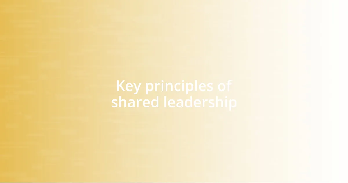 Key principles of shared leadership