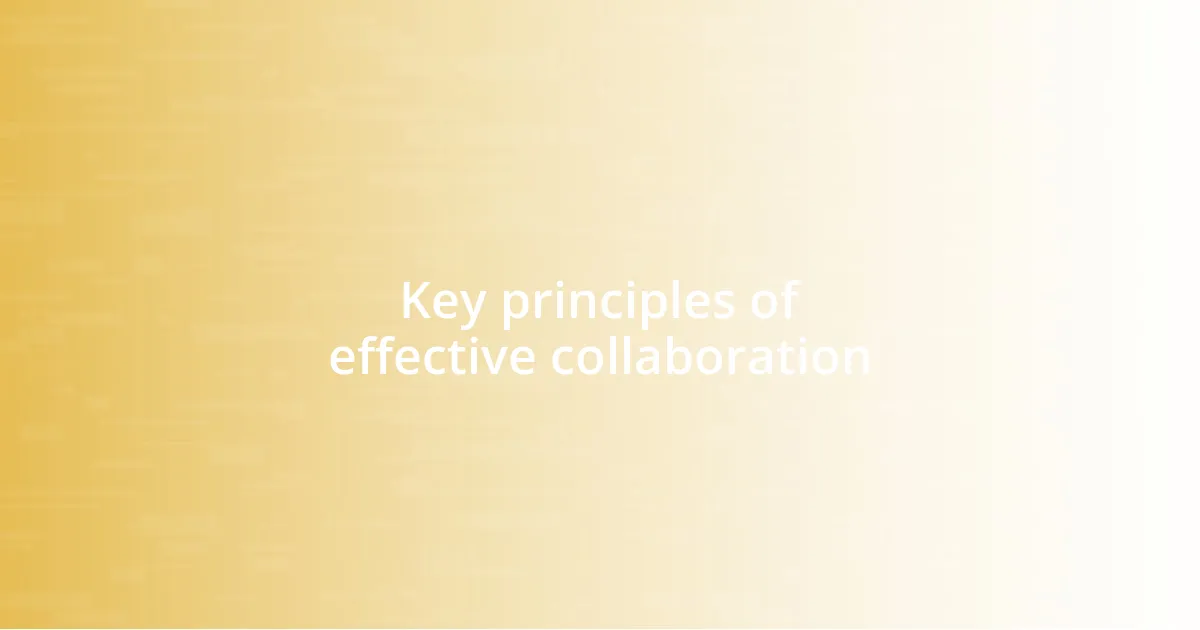 Key principles of effective collaboration