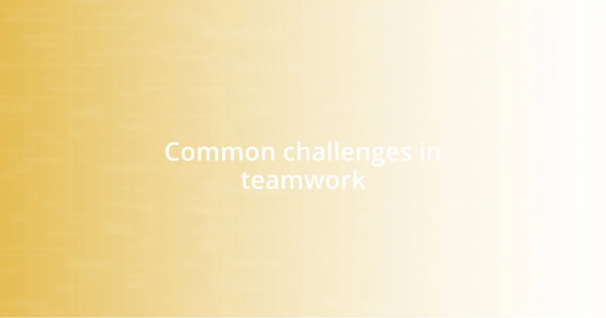 Common challenges in teamwork