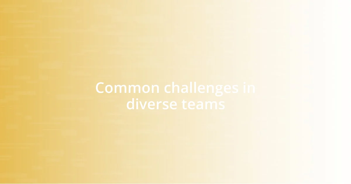 Common challenges in diverse teams