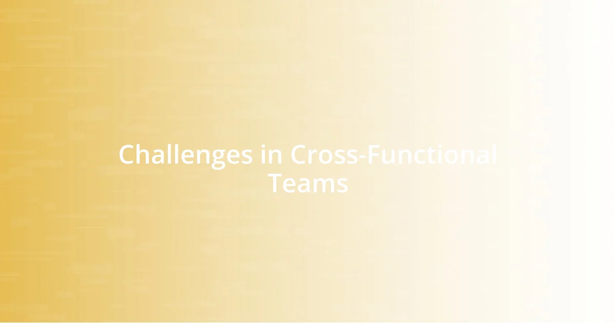 Challenges in Cross-Functional Teams