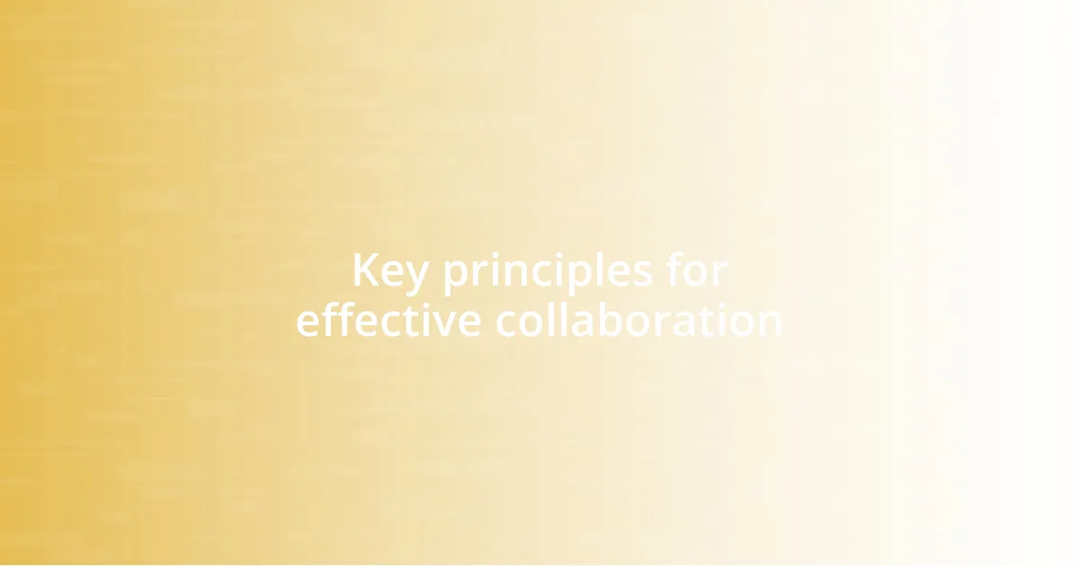 Key principles for effective collaboration