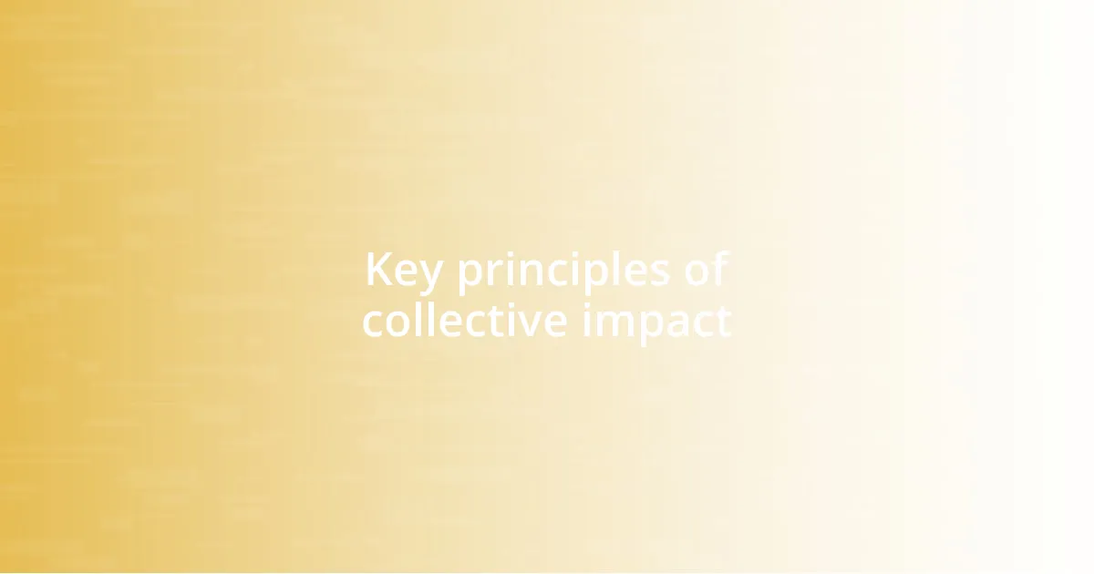 Key principles of collective impact