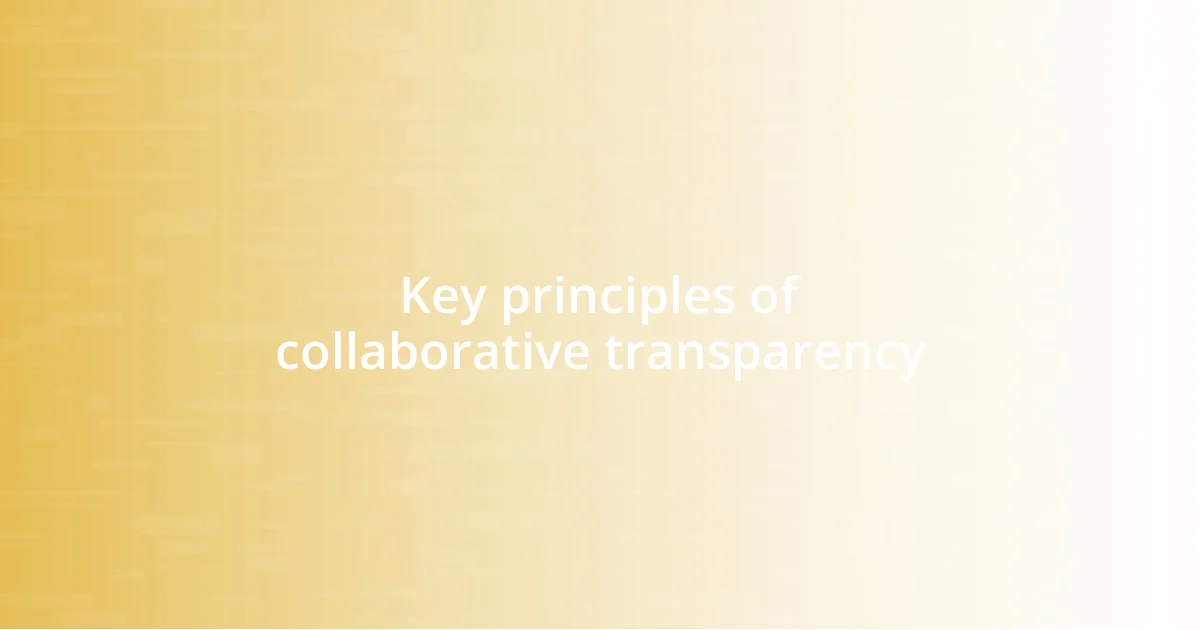 Key principles of collaborative transparency
