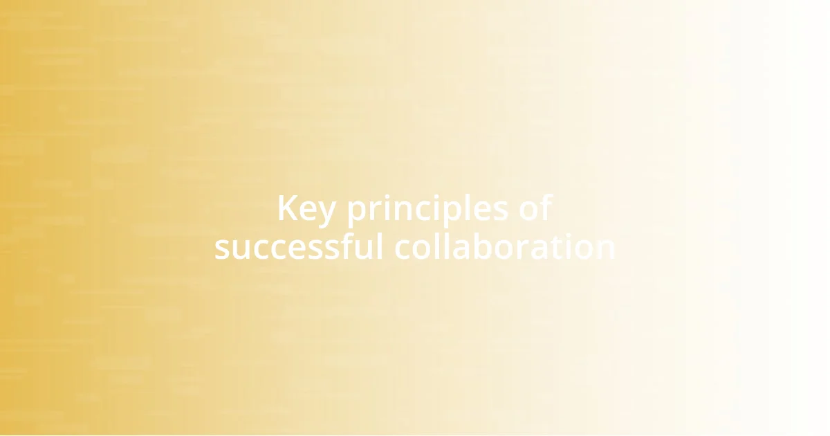 Key principles of successful collaboration