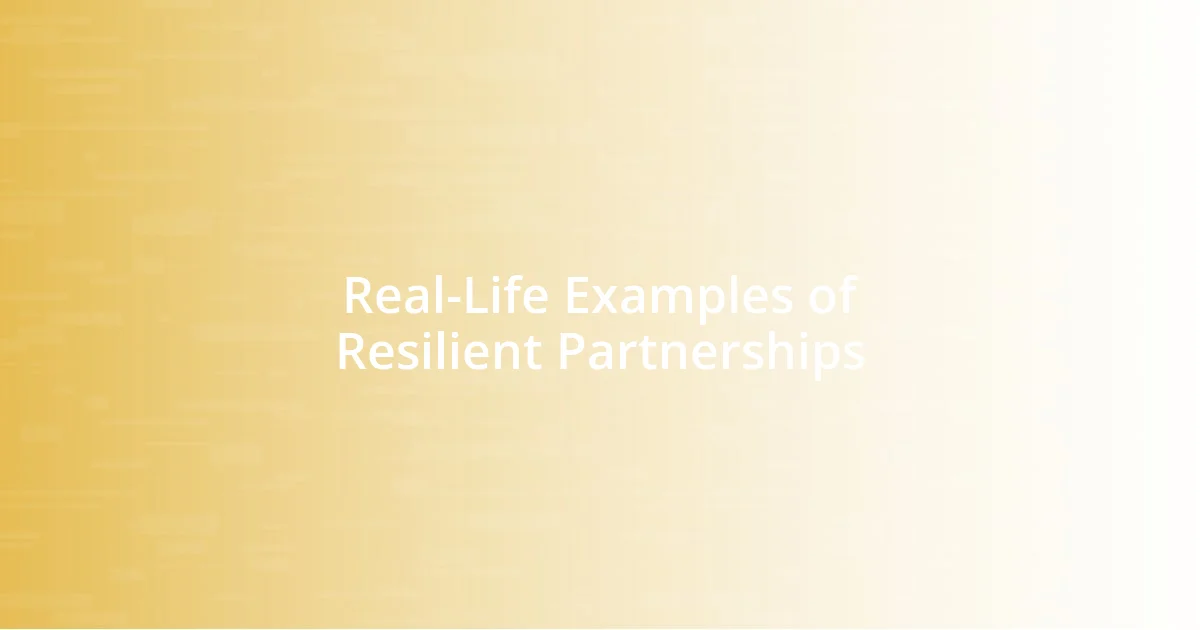 Real-Life Examples of Resilient Partnerships