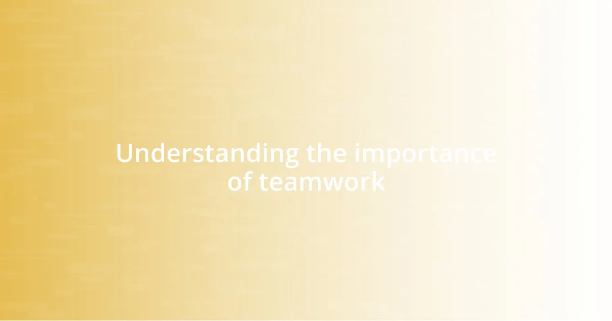 Understanding the importance of teamwork