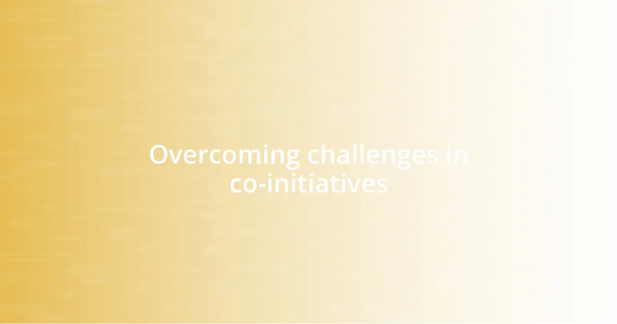 Overcoming challenges in co-initiatives